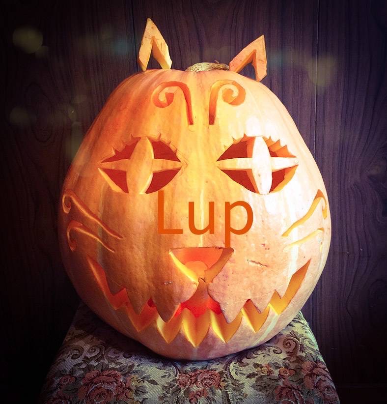 Lup